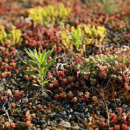 Barrierefreie Am Wasserturm Landau - Suedpfalz * 랜다우인더펠즈