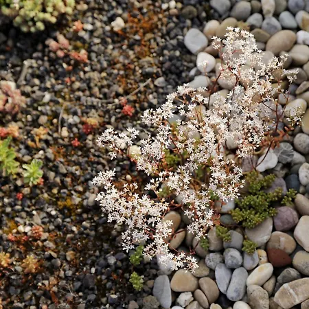 Barrierefreie Am Wasserturm Landau - Suedpfalz * ランダウ・イン・デア・プファルツ