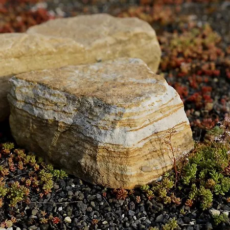 Barrierefreie Am Wasserturm Landau - Suedpfalz