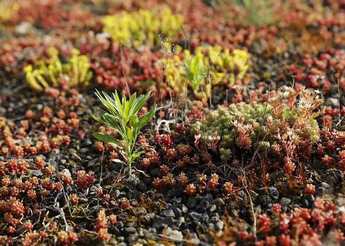 Barrierefreie Am Wasserturm Landau - Suedpfalz * 朗道因德普法尔茨