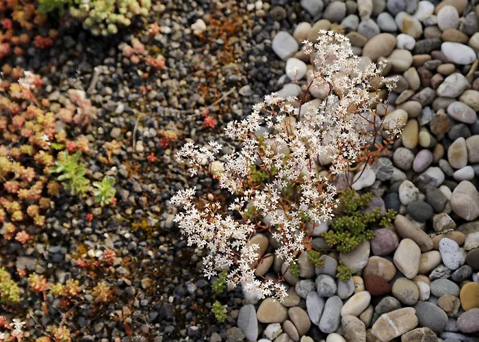 Barrierefreie Am Wasserturm Landau - Suedpfalz * 朗道因德普法尔茨