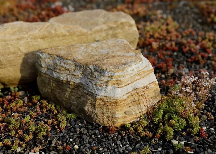 Barrierefreie Am Wasserturm Landau - Suedpfalz