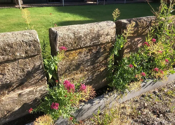 Barrierefreie Am Wasserturm Landau - Suedpfalz